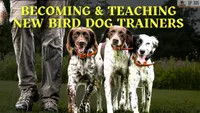 Gun Dog It Yourself artwork