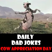Daily Dad Jokes artwork