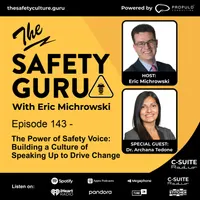 The Safety Guru artwork