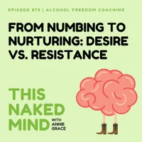 This Naked Mind Podcast artwork