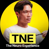 The Neuro Experience artwork