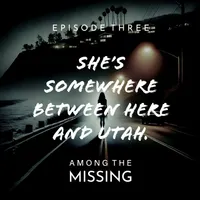 Among The Missing artwork