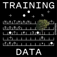 Training Data artwork
