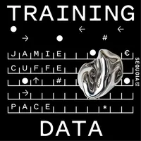 Training Data artwork