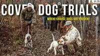 Gun Dog It Yourself artwork