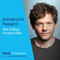 The TWIML AI Podcast (formerly This Week in Machine Learning & Artificial Intelligence) artwork