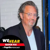 We Hear: Quick Fix by Page Six artwork