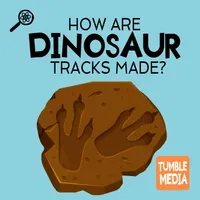 Tumble Science Podcast for Kids artwork