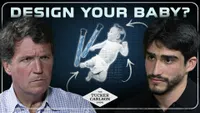 The Tucker Carlson Show artwork