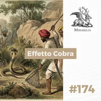 Mirabilia - Il Podcast delle storie straordinarie artwork