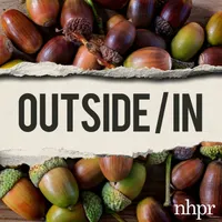 Outside/In artwork