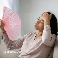 Climate One artwork