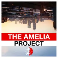 The Amelia Project artwork