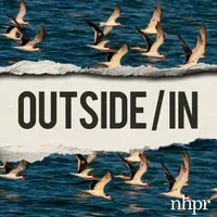 Outside/In artwork
