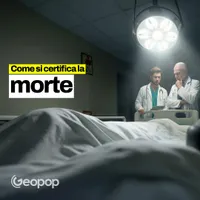 Geopop - Le Scienze nella vita di tutti i giorni artwork