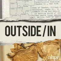Outside/In artwork
