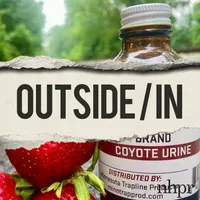 Outside/In artwork