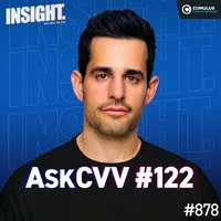 Insight with Chris Van Vliet artwork