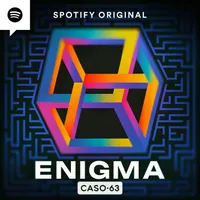 Caso 63 artwork