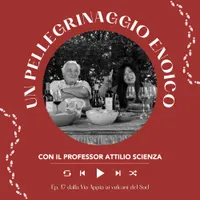 Italian Wine Podcast artwork