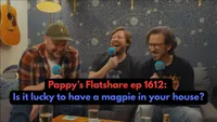 Pappy's Flatshare artwork