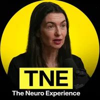 The Neuro Experience artwork