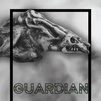 The White Vault artwork
