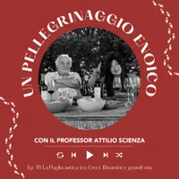 Italian Wine Podcast artwork