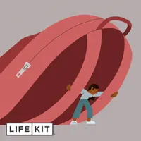 Life Kit: Parenting artwork
