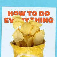 How To Do Everything artwork