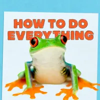 How To Do Everything artwork