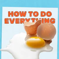 How To Do Everything artwork