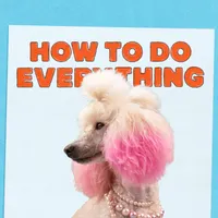 How To Do Everything artwork