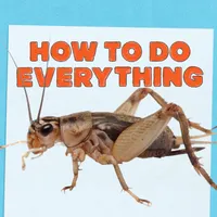 How To Do Everything artwork