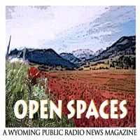Open Spaces artwork