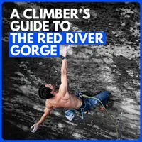 The Struggle Climbing Show artwork