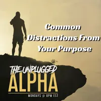 The Unplugged Alpha artwork