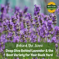 Top 10 Gardener the Ultimate Garden Blueprint with Ken & Lisa artwork