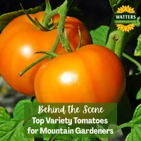Mountain Gardener with Ken & Lisa artwork