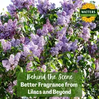 Mountain Gardener with Ken & Lisa artwork