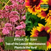 Top 10 Gardener the Ultimate Garden Blueprint with Ken & Lisa artwork