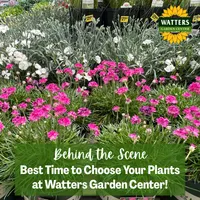Top 10 Gardener the Ultimate Garden Blueprint with Ken & Lisa artwork