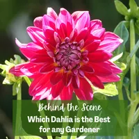 Top 10 Gardener the Ultimate Garden Blueprint with Ken & Lisa artwork