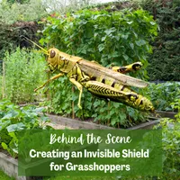 Top 10 Gardener the Ultimate Garden Blueprint with Ken & Lisa artwork