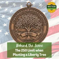Top 10 Gardener the Ultimate Garden Blueprint with Ken & Lisa artwork