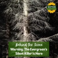 Mountain Gardener with Ken & Lisa artwork