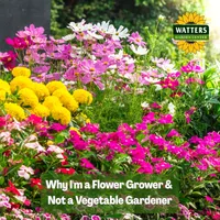 Mountain Gardener with Ken & Lisa artwork