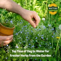 Mountain Gardener with Ken & Lisa artwork