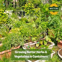 Mountain Gardener with Ken & Lisa artwork