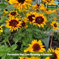 Top 10 Gardener the Ultimate Garden Blueprint with Ken & Lisa artwork